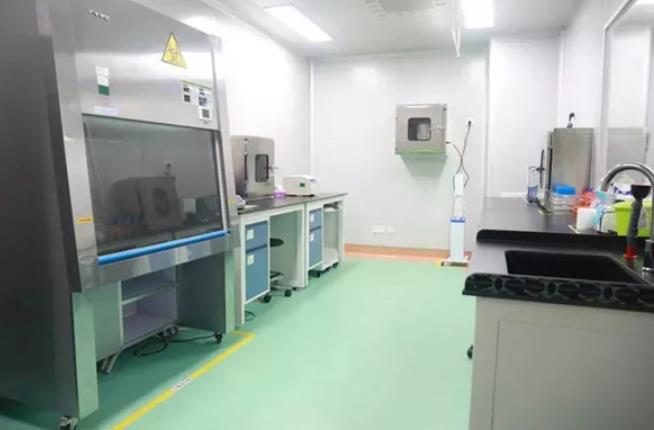 分子生物实验室